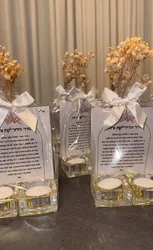 ברכון מגנט ופמוטים